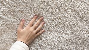 fleas in carpet effective ways to