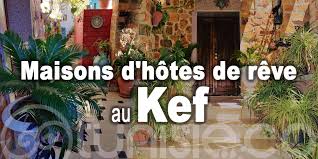 maisons d hôtes de rêve à découvrir au kef