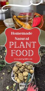 homemade plant food 7 easy natural