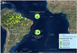 brazil s new marine protected areas