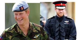 prince harry serve in the military