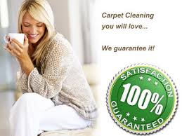 carpet restoration plus best carpet