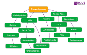 biomolecules in living organisms the