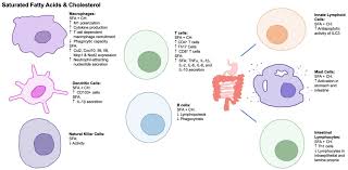 the role of lipids in the regulation of