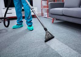 professional cleaning services edmonton