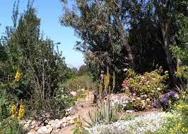 Fairytale Garden In Southern California