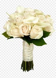 white roses png hd wallpaper flower