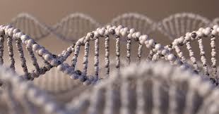 Zmiany genetyczne w produkcji kolagenu w organizmie wpływa na tkankę łączną, powodując ich nienormalnie słaby. Zespol Ehlersa Danlosa Objawy Leczenie Rokowania