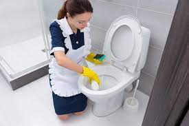 Doing Your 'Business' Anywhere but the Toilet from Hotel Housekeepers Share the Worst Things You Can Do When Staying in a Hotel - The Active Times