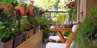 How You Can Start A Balcony Garden