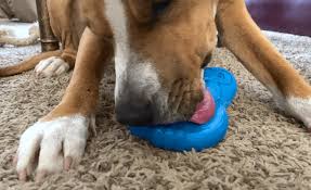 Some vets even recommend cold or frozen carrots for teething puppies, as a way to relieve teething discomfort. 7 Best Frozen Dog Toys 2021 Reviews Chilly Chompin