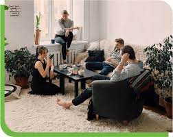 carpet cleaning company green carpet