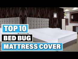 Best Bed Bug Mattress Cover In 2023