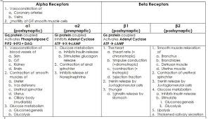 Alpha Beta Receptors Adrenergic Receptors Pharmacology