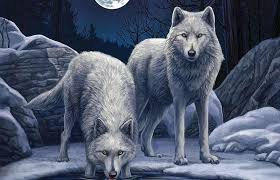 Wolves Art Frumusete Anne Stokes