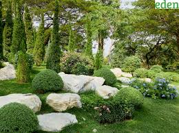 Rock Garden With Rocks And Alpine Plants