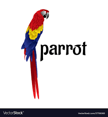 beautiful colorful parrot bird royalty
