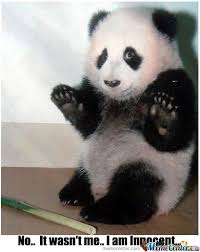 Innocent Panda by kurunia - Meme Center via Relatably.com