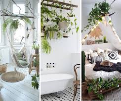 15 decoration ideas with plants to make
