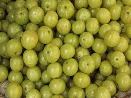 how to use amla for diabetes benefits