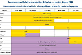 2017 U S Adult Immunization Schedule
