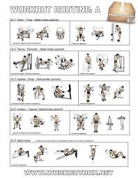 Workout Routine A Healthy Fitness Full Body Training Plan