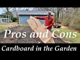 cardboard in the garden pros and cons