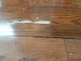 floor damage to termites
