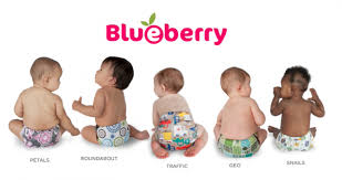 New Releases From Blueberry Bumgenius Bummis Applecheeks