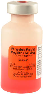 Neopar Dog Parvo Vaccine Parvovirus Jeffers Pet