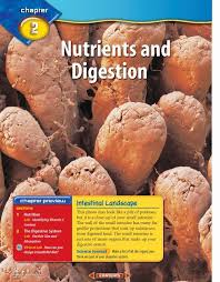 nutrients and digestion mcgraw hill