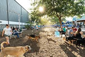 canine friendly drinking hubs in austin
