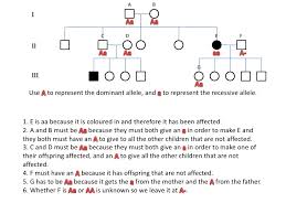 The pedigree analysis worksheet answers the question of how to do a pedigree analysis. 31 E Bio Worksheet Pedigree Analysis In Genetics Worksheet Resource Plans