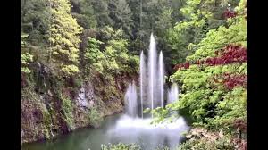 relax your mind in the butchart gardens
