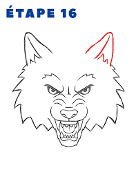 Voir plus d'idées sur le thème loup dessin, dessin, dessin de loup. Comment Dessiner Une Tete De Loup La Taniere Du Loup