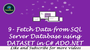 9 fetch data from sql server database