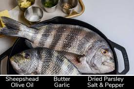 grilled sheepshead kitchen laughter