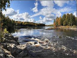 Водный сплав по реке Шуя от п. Суоёки до г. Петрозаводск (длина 206 км) |  Tripmir