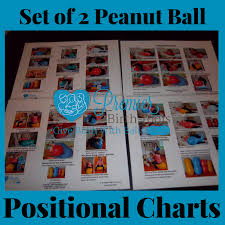 Set Of 2 Peanut Ball Charts With New Positions