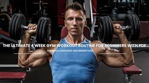 4 week beginner workout routine with