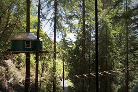 the redwoods treehouses