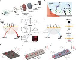 Frontiers Advanced Evanescent Wave Optical Biosensors For