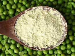 pea protein powder nutrition benefits