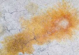 How To Remove Concrete Stains Oil