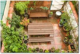 designing your vegetable garden layout