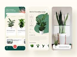 Identify Plants App Plant App