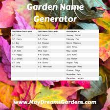 name your garden carol j michel