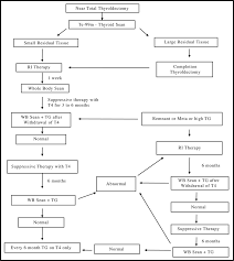 Flow Chart For The Management Of Differentiated Thyroid
