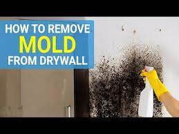 Black Mold Permanently Mold Cleaner Spray