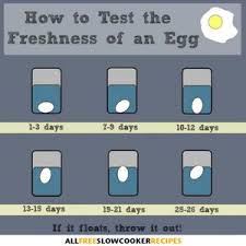 How To Test The Freshness Of An Egg